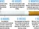 8 after effects when you quit smoking - Quitting Smoking Timeline