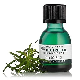 tea tree oil - How to get rid of acne