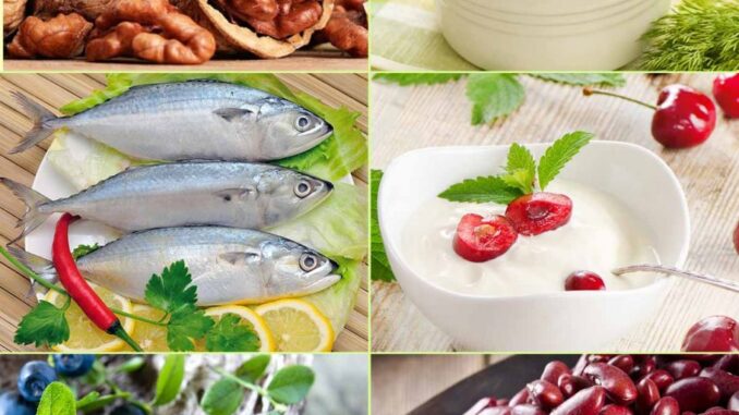 Foods that are good for your child brain 10 Foods that are good for your child brain