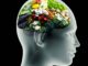 Super Foods That Boost Your Brain