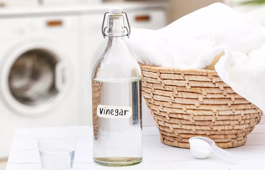 Vinegar As a Preservative