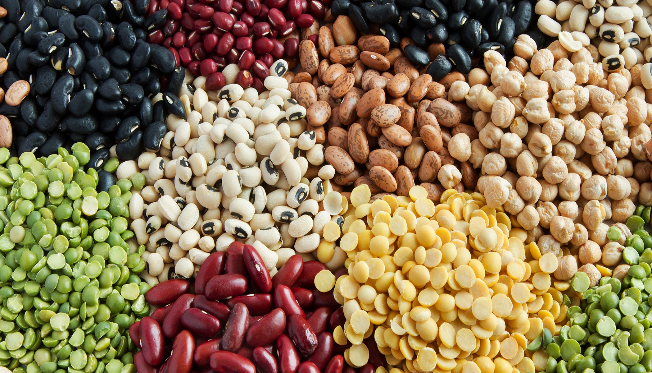 Dried beans