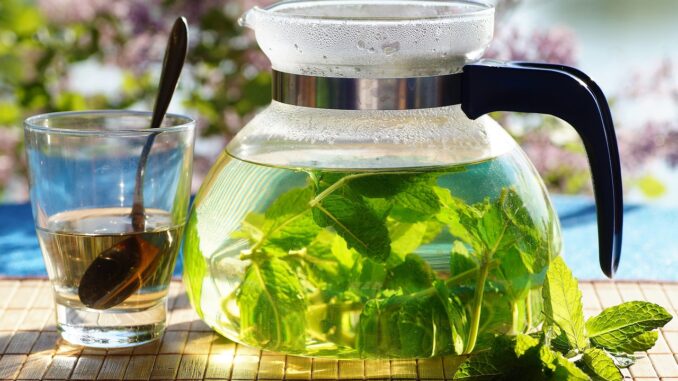 Embracing Green Tea Diets