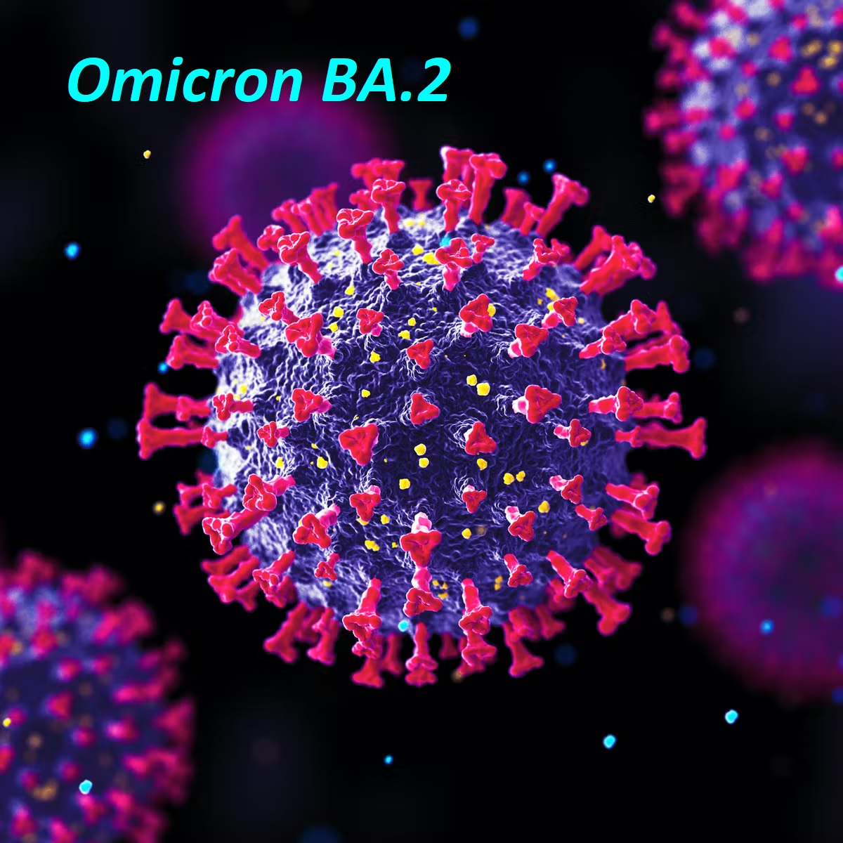 Omicron BA.2 Symptoms: How Long Do They Last