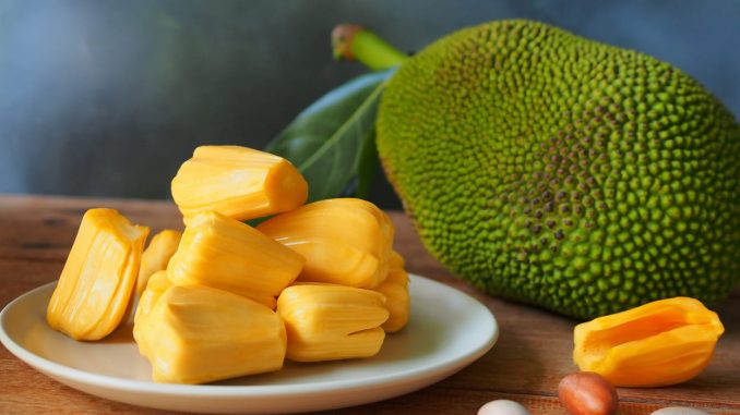 jackfruit or kathal is better for people with diabetes?