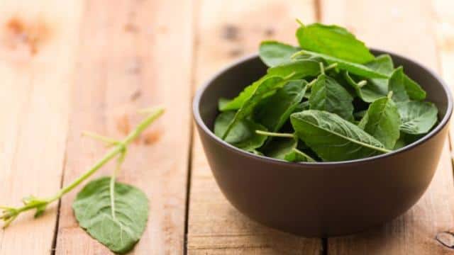 "Tulsi's Effects on Insulin," a Nutritionist Explains Why It's a "Boon for Diabetics"